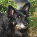 Robert Herbster - Facebook