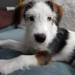 Robert Herda - @robert.herda.188 - Instagram