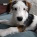 Robert Herda - Facebook
