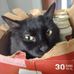 Robert Herr - Facebook