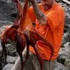 Robert Herrle - @robert.herrle - TikTok