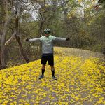Robert Herrera - @robertherrerat - Instagram
