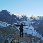 Robert Herzig - @robert.herzig.vet - Instagram