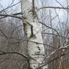 Robert Heverly - @robert.heverly4 - TikTok