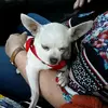 roberthewett810 - @roberthewett810 - TikTok