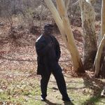 Robert Higginbottom - @65otar - Instagram