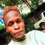 Don - @robert__higgins - Instagram