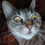 Robert higgins - @robert_higgins.97 - Instagram