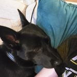 Robert Higgins - @robert.higgins.967 - Instagram