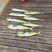Robert Hight - Facebook