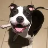 Robert Hills - @robert.hills3 - TikTok
