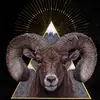 Robert Shingler - @robert.shingler7 - TikTok