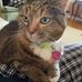 Robert Hipps - Facebook