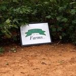 Robert Austin Hires - @rahfarmsllc - Instagram