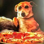 ★Matthew Robert Hirschberg★ - @no_1chefmateo_ - Instagram