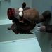 Robert Hodor - Facebook