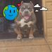 Robert Hoey - Facebook