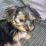 Robert Hoey - @hoey3950 - Instagram