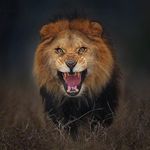 Robert Yaovi Hoffer - @robzero_hoffer - Instagram