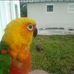Robert Hoffner - Facebook