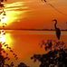 Robert Hoffner - Facebook