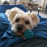 Robert Hogsett - @roberthogsett - Instagram