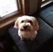 Robert Hohenstein - Facebook