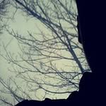 Robert Holder - @_robert_holder_ - Instagram