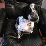 Robert Holgate - @holgate.rob - Instagram