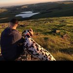 Robert Holroyd - @holroydrobert - Instagram