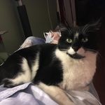 Robert A. Holsapple - @raholsapple - Instagram
