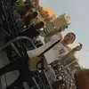 roberthonsinger68 - @roberthonsinger68 - TikTok