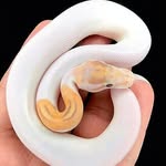 Robert Hook's - @robert_hooks3 - Instagram