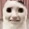 Roberthooper15 - @roberthooper153 - TikTok