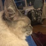 Robert Horel - @revup62 - Instagram