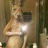 Roberth Orellana - @roberth.orellana34 - TikTok