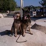 Robert Horowitz - @horowitz.robert - Instagram