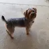 roberthorowitz442 - @roberthorowitz442 - TikTok