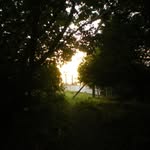 Robert Horrocks - @roberthorrocksmusic - Instagram