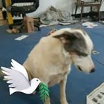 Robert Horstmann - @roberthorstmann - Instagram