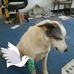 Robert Horstmann - Facebook