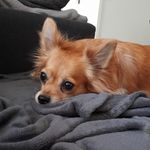 Robert Hossdorf - @robert.hossdorf - Instagram