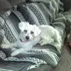 Robert Hostetler - @robert.hostetler - TikTok