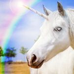 Lord_Unycorn - @robertho_the_unicorn - Instagram