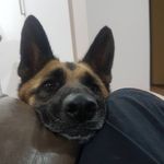 Rob.h - @robert_housdens - Instagram