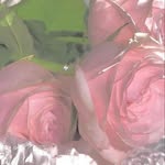 Robert Houseknecht - @roberthouseknechtmg.7924 - Instagram