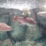 Robert Houser - @soldsong37 - Instagram