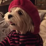 Robert Houser - @rchouser - Instagram