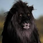 Robert Howell - @robert.howell.144 - Instagram