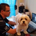 Robert Howells - @robert.howells - Instagram